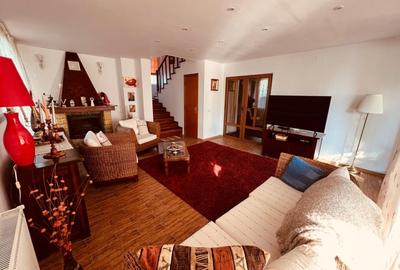 Resedinta eleganta in zona Iancu Nicolae - 4