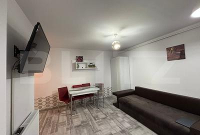 Apartament 2 camere, 50 mp, petfriendly, zona Muzeul Apei - 3
