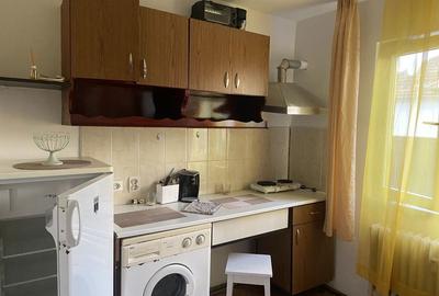 Garsonieră decomandată în Dosu Bricii - 3