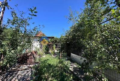 Casa + teren de vanzare - Zanesti - 20