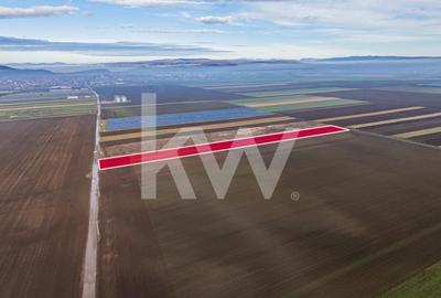 Teren Construcții intravilan de 16000 mp, în Hărman