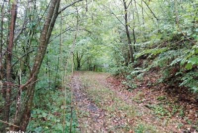 Spațiu comercial, în Brazi - 15