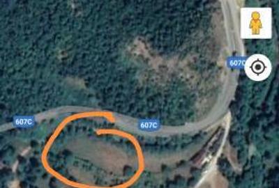 Teren de 2650 mp, în Ilovița - 1