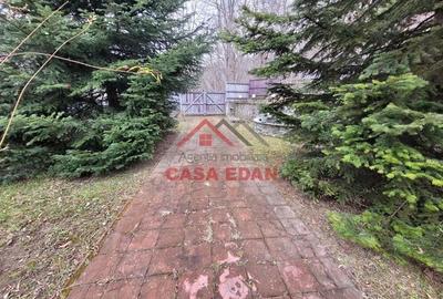 Casa in Cornu de Sus --250.000e - 6