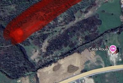 Spațiu comercial, în Băile Felix - 7