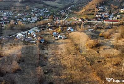 Teren în Vâlcănești - 8