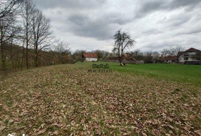 Teren de 9370 mp, în Baia de Criș - 4