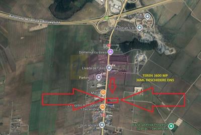 Teren bun aproape de Bucuresti cu deschidere la DN5 Teren bun aproape de Bucuresti cu deschidere la DN5 - 4