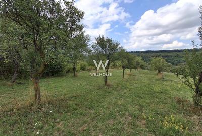 De vânzare teren extravilan în Sibiel, jud. Sibiu - 3223 mp - 7
