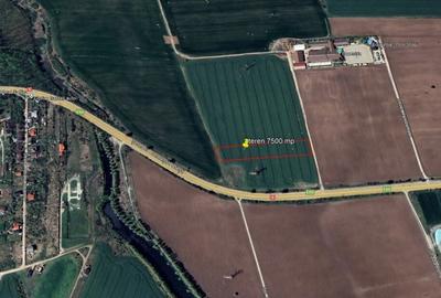 Teren agricol intravilan de 7500 mp, în Snagov
