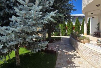 REV2004940 VILA DEOSEBITA DE VANZARE IN OTOPENI - ZONA REZIDENTIALA SELECTA - 3