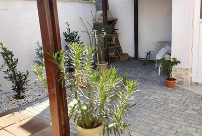 Casă cu 5 camere cu Teren 365 Mp în Micălaca - 5