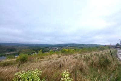 Teren de vanzare Barnova, cu priveliste Vanzare imediata - 6