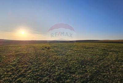 Teren agricol extravilan de 10152 mp, în Stroiești - 5