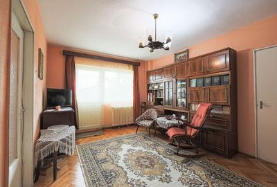 REZERVAT!Vedere directă spre faleza Mureșului, Micalaca 300 - 4