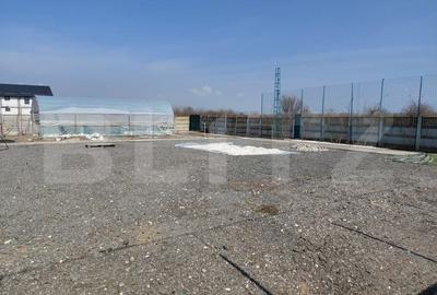 Teren Construcții extravilan de 600 mp, în Cernele - 4