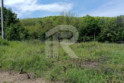 Intravilan Tiparesti, relaxare aproape de padure - 8