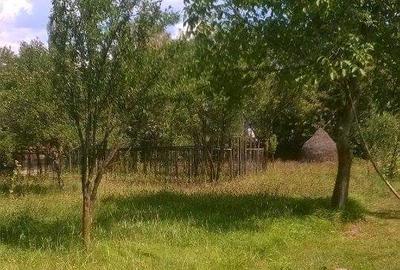 Casă cu 3 camere în Vișeu de Sus - 6