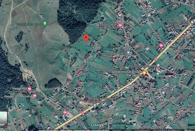 5283 mp TEREN INTRAVILAN IN ZONA TURISTICA MONTANA BUCOVINA, VAMA - SUCEAVA - 10