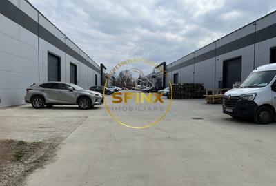 Spațiu industrial, de 760 mp, în Mogoșoaia - 11