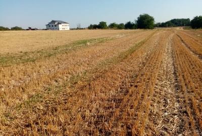 Spațiu comercial, în Ghimpați - 4