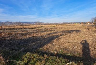 Casă individuală cu 2 camere cu Teren 4700 Mp în Capu Câmpului - 8
