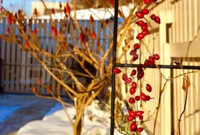 Casă individuală cu 7 camere cu Teren 600 Mp în Borhanci - 14