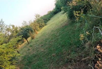 Teren în Măgurele - 1