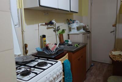 Dacia-Eminescu,apartament et.1(135mp)+pod inalt(135mp) - 12