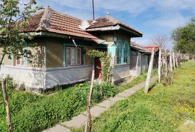 Casa batraneasca Casa batraneasca - 3