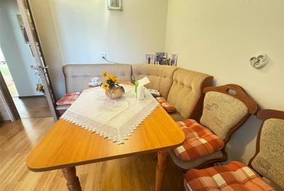 Apartament decomandat cu 2 camere zona Vasile Aaron - 13