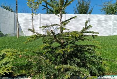 Crangasi Vila individuala in faza de proiect 5 min de Lacul Morii - 5