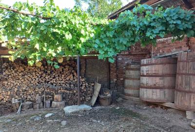 Casă cu 4 camere în Lăpușnicu Mare - 4