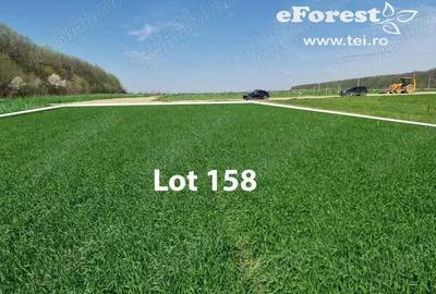 Casă cu Teren 900 Mp în Cocani - 5