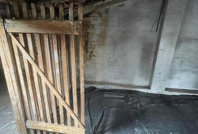 Villa Interblica - Parcul Carol Villa Interblica - Parcul Carol - 44