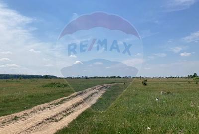 Teren intravilan de 973 mp, în Băneasa - 10