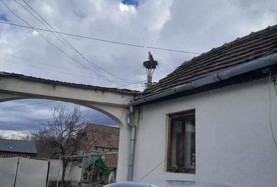 Casă cu 6 camere cu Teren 9000 Mp în Orăștioara de Jos - 1