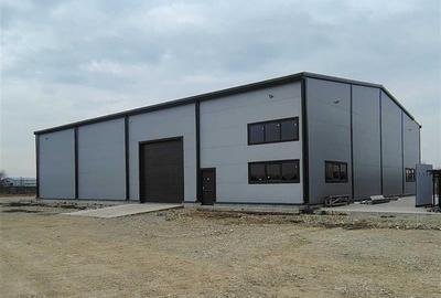 Spațiu industrial, 600 mp în Theodor Pallady