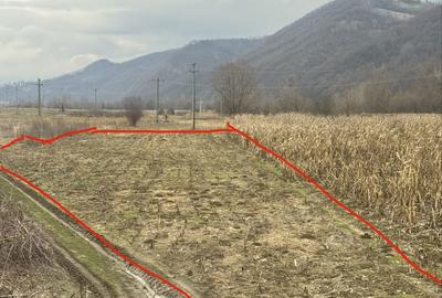 Spațiu comercial, în Poderei - 5