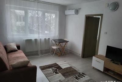 Apartament cu 2 camere semidecomandat în Buziașului - 5