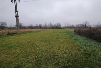 RECO Casa de vanzare in Voievozi - 16