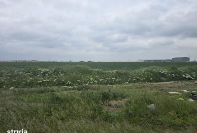 Teren de 10000 mp, în Dobroești - 8