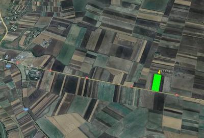 Teren de 91100 mp, în Central - 1