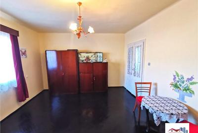 Casa de Zona Mureseni - 9