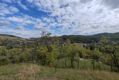 Teren de 5400 mp, în Drăgăneasa - 6