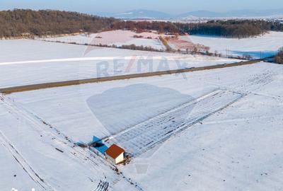 Teren de 4300 mp, în Sânpetru - 9