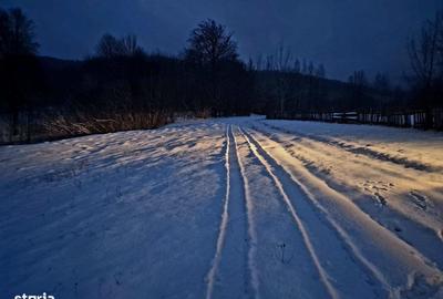 Teren de 5000 mp, în Șinca - 2