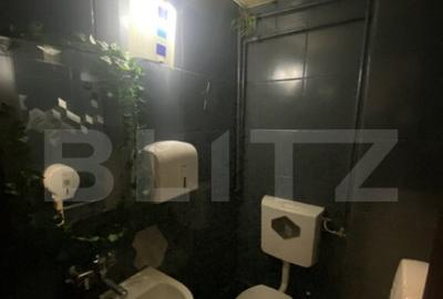 Cladire comerciala, 377 mp, zona Bulevardul Gheorghe Chitu - 2
