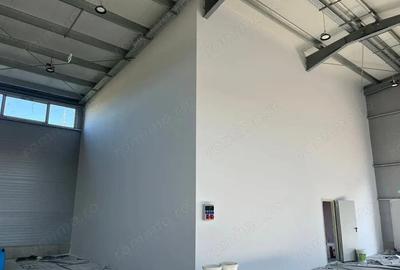 Zona Drumul intre Tarlale - hale noi - 600mp Zona Drumul intre Tarlale - hale noi - 600mp - 3