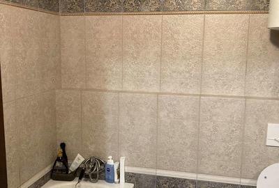 Apartament cu o camera de inchiriat in zona Dambovita - 3